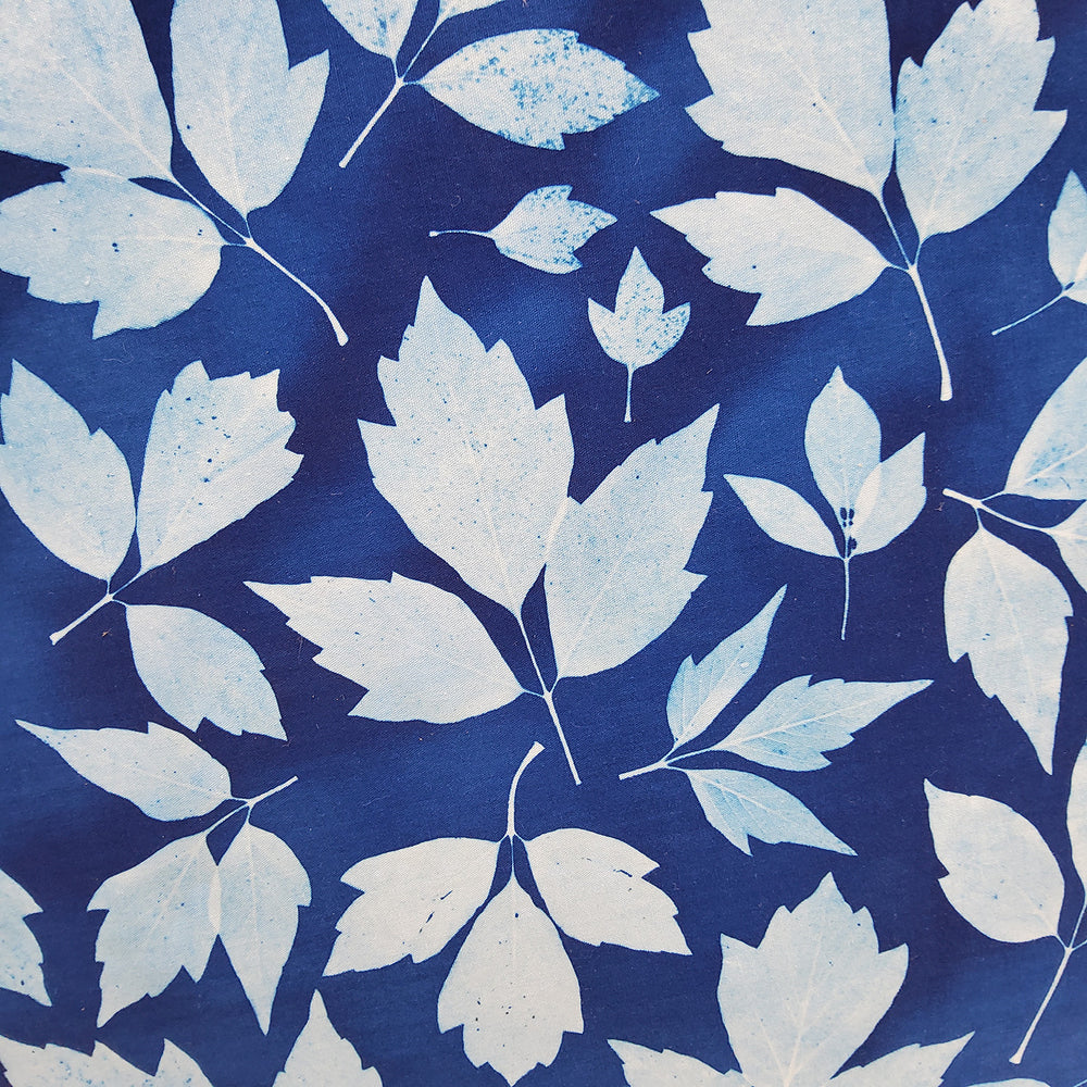 Cyanotype Box Elder 12" Hoop