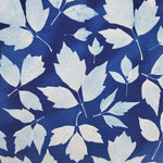 Cyanotype Box Elder 12" Hoop