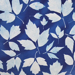 Cyanotype Box Elder 12" Hoop