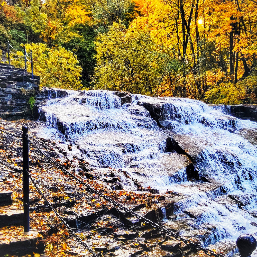 "Cascadilla Falls in Autumn" Print