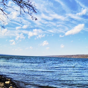 "Cayuga Lake" Print