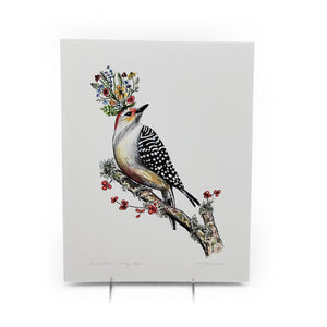 "Red Bellied Woodpecker" Print 11 X 14