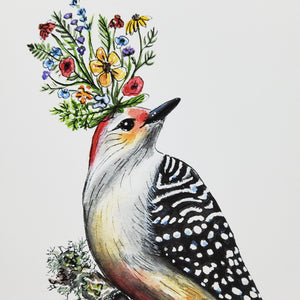 "Red Bellied Woodpecker" Print