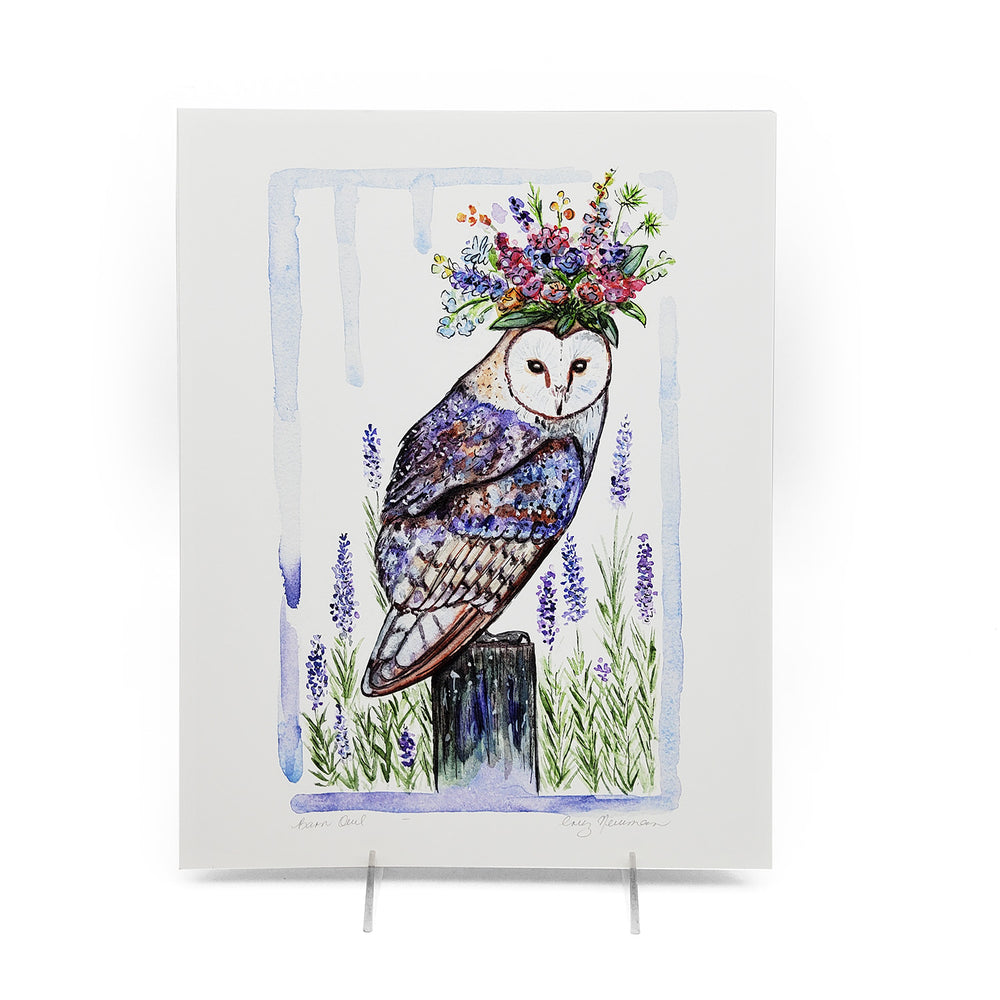 "Barn Owl" Print 9 X 12