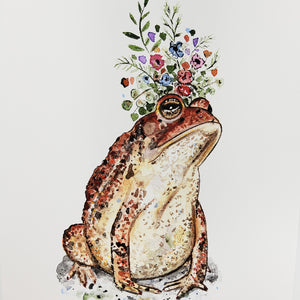 American Toad Print