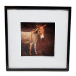 "Sweet Dee the Donkey" Framed Print