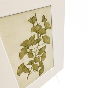Ginkgo Green Vertical