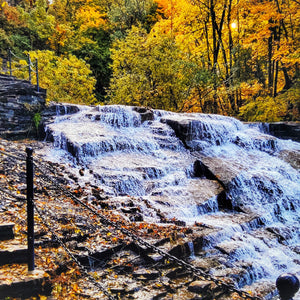 "Cascadilla Falls in Autumn" Print