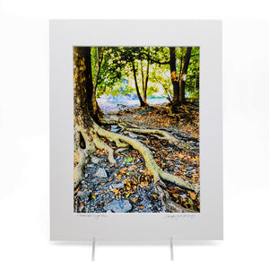 "Ithaca Gorge Trail" Print