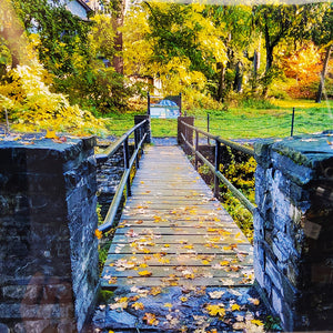 "Cascadilla Gorge Trail" Print