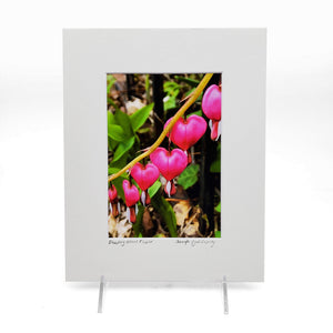 "Bleeding Heart" Print