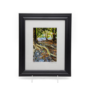 "Ithaca Gorge Trail" Print