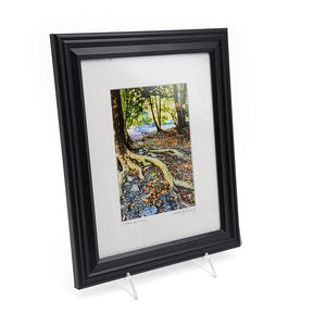 "Ithaca Gorge Trail" Print