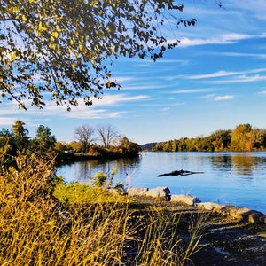 "Cayuga Lake At Cass Park" Print