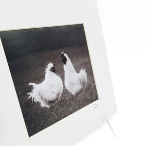 "Two Silkies" Matted Print