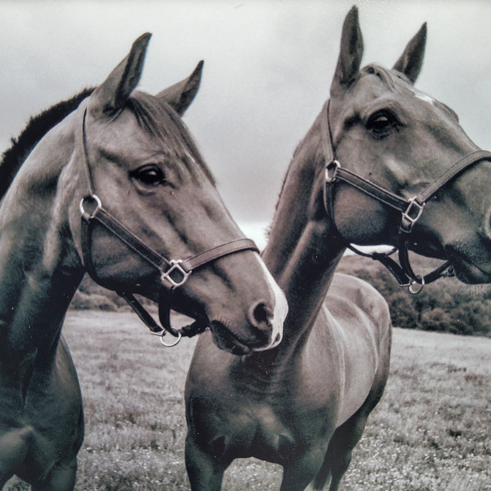 "Blaze and Dusty" Matted Print