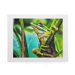 &quot;Prince of the Pond&quot; Giclee Print