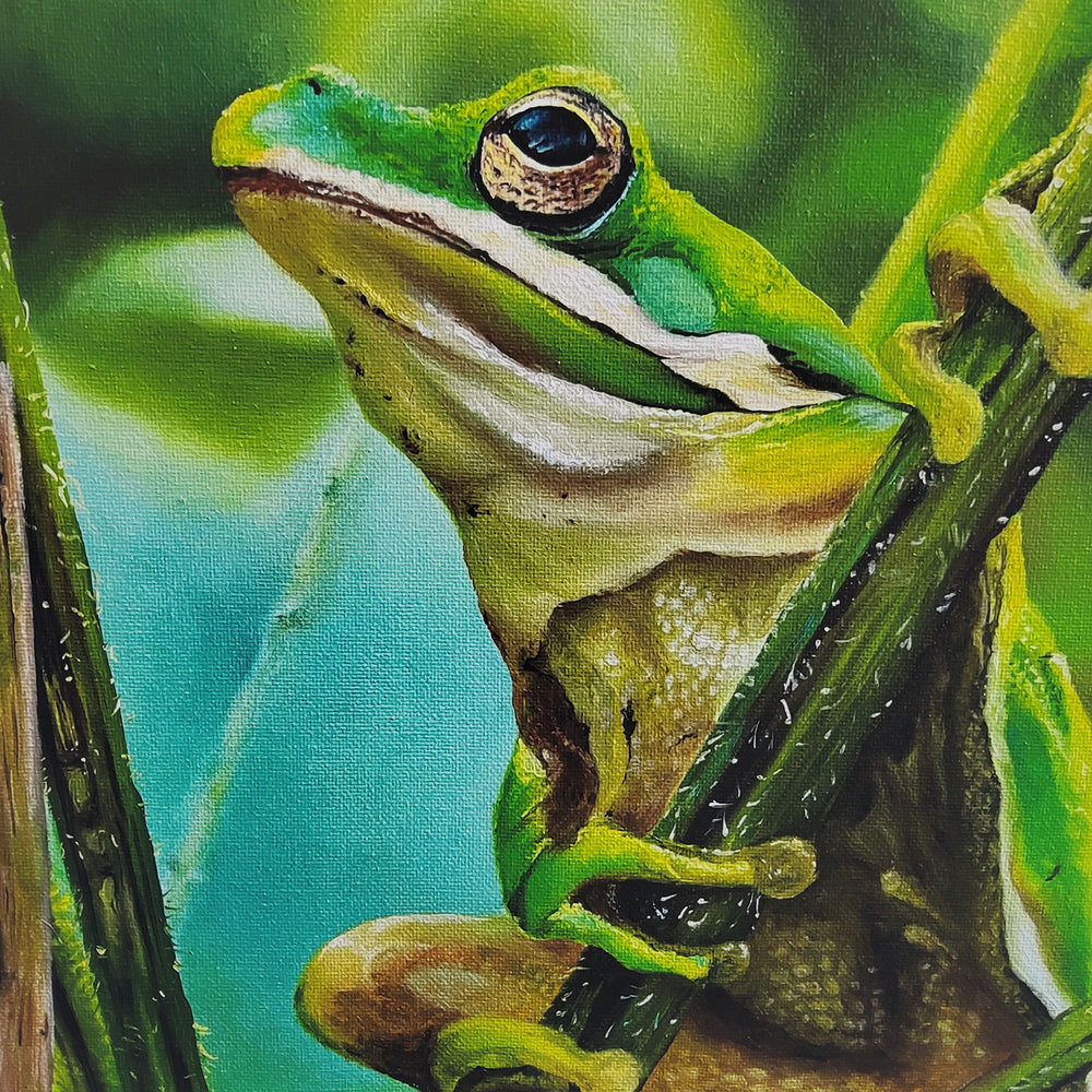 "Prince of the Pond" Giclee Print