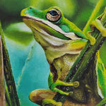 "Prince of the Pond" Giclee Print