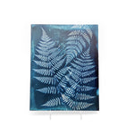 New York Fern Cyanotype On Wood Panel