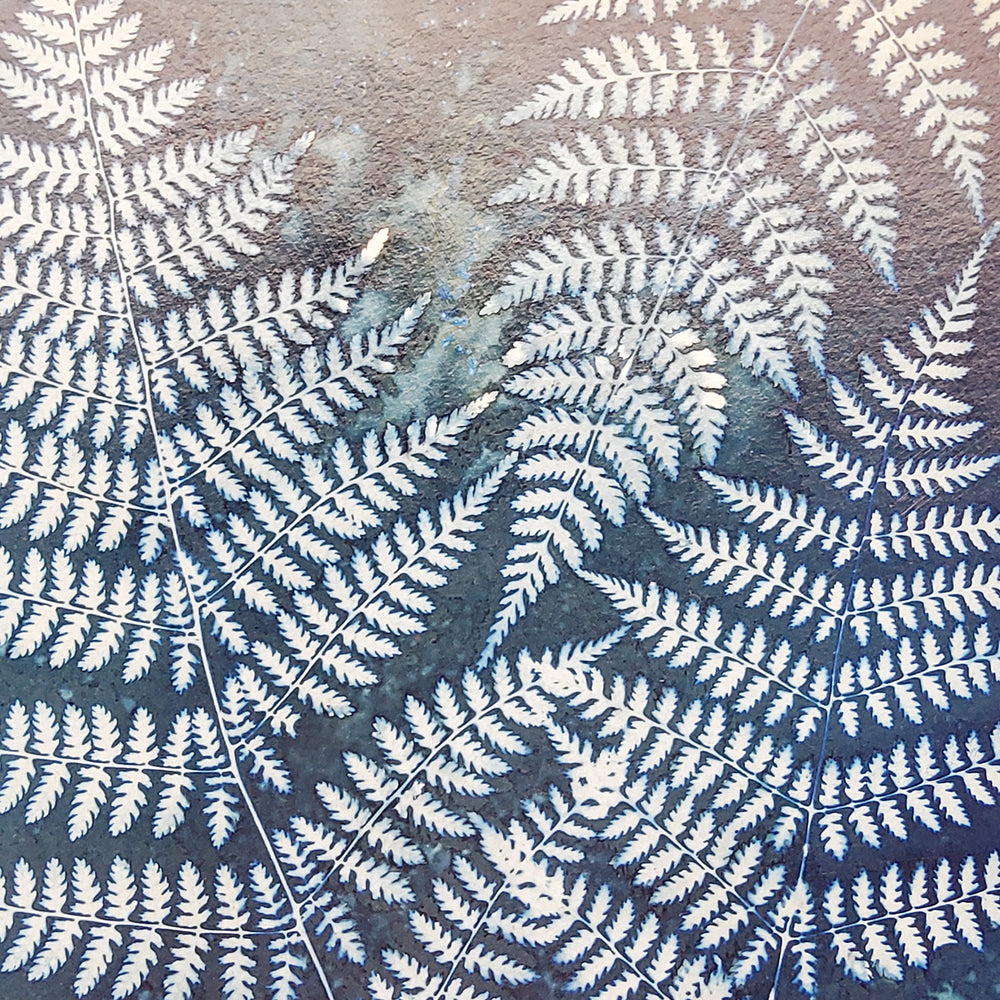New York Fern Cyanotype On Wood Panel
