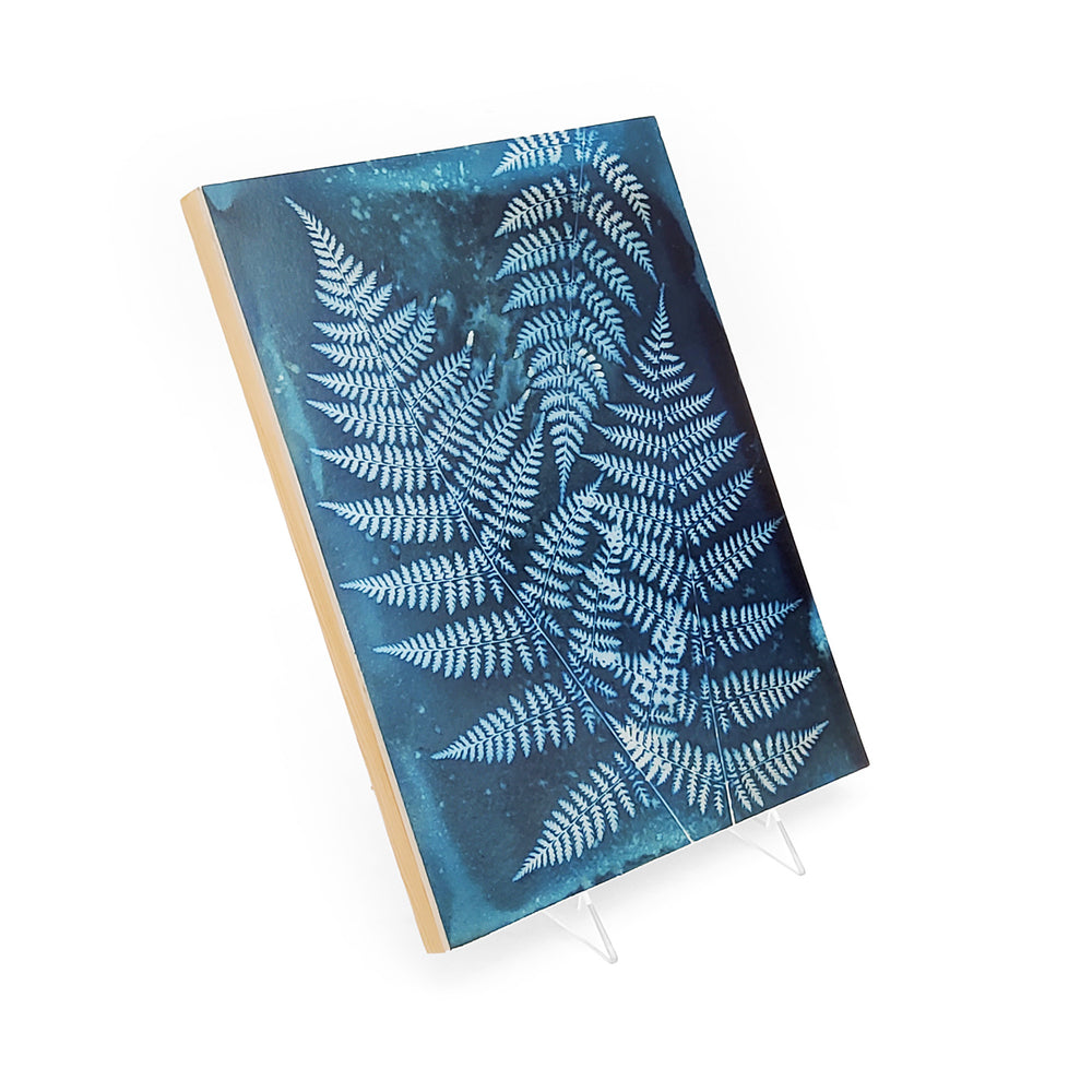 New York Fern Cyanotype On Wood Panel