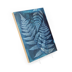 New York Fern Cyanotype On Wood Panel