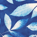 Cyanotype Chinese Peony 15" Hoop