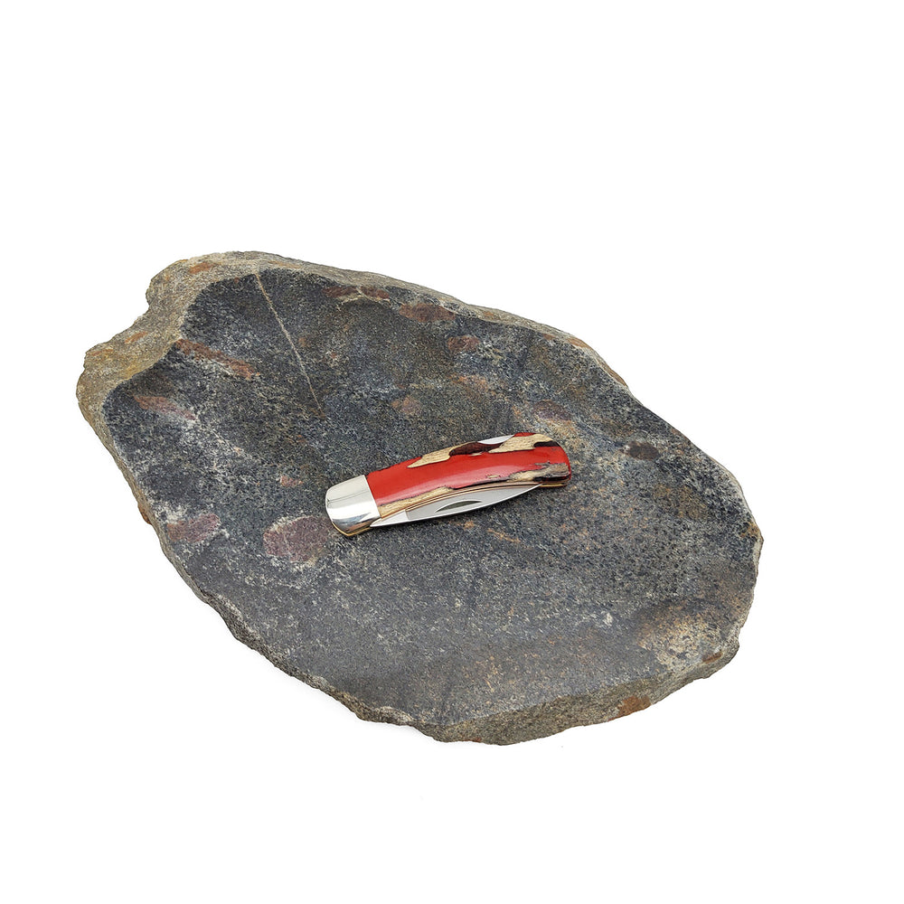 Lockback Knife Cholla Cactus Red Handle