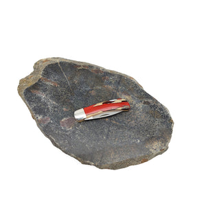 Lockback Knife Cholla Cactus Red Handle