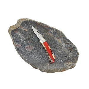 Lockback Knife Cholla Cactus Red Handle