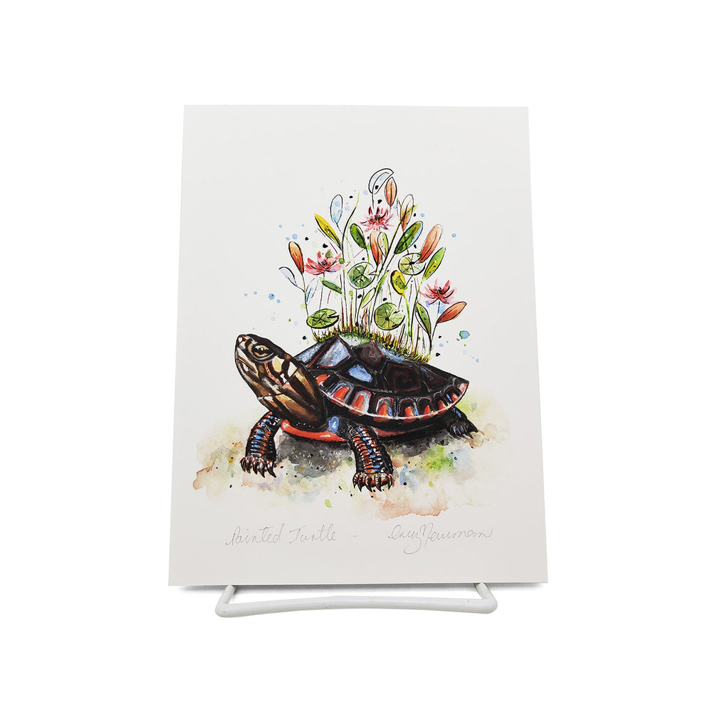 "Painted Turtle" Print 8 X 10