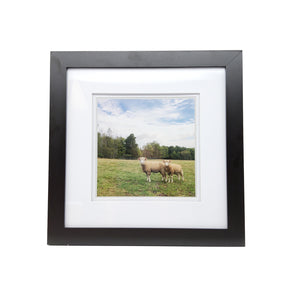 Framed Sheep Print