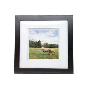 
            
                Load image into Gallery viewer, Framed Sheep Print
            
        