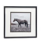 Framed Blaze Horse Print