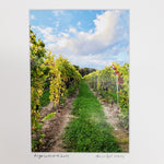 "Finger Lakes Wine Country" Matted Print
