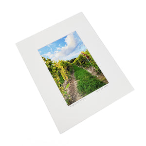 
            
                Load image into Gallery viewer, &amp;quot;Finger Lakes Wine Country&amp;quot; Matted Print
            
        