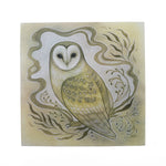 Tyto Alba Barn Owl Print