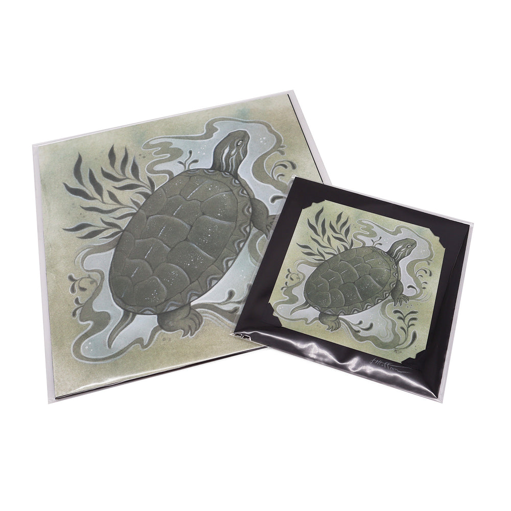 Shimmer Shell Turtle Print