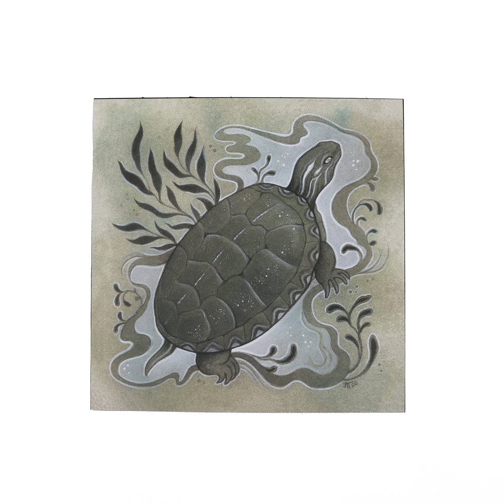 Shimmer Shell Turtle Print