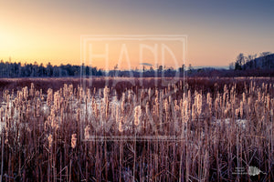 Winter Sunset Caroline NY