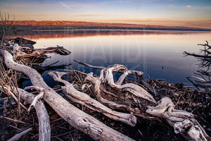 Stewart Park At Cayuga Lake