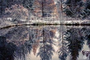 Winter Reflections Caroline NY