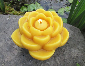 Sunbeam Candles Lotus Flower