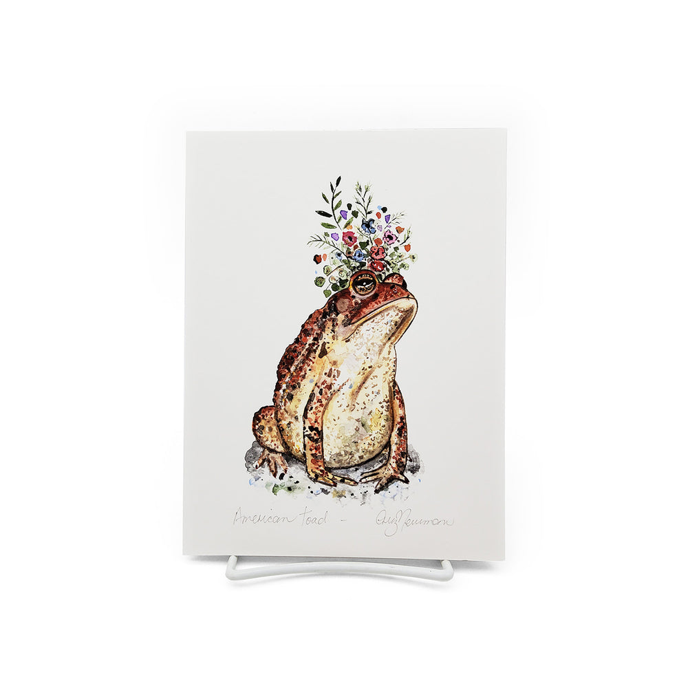American Toad Print