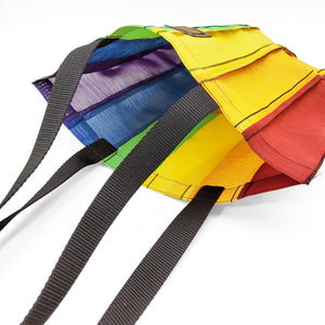 
            
                Load image into Gallery viewer, Rainbow Medium Tote Bag
            
        