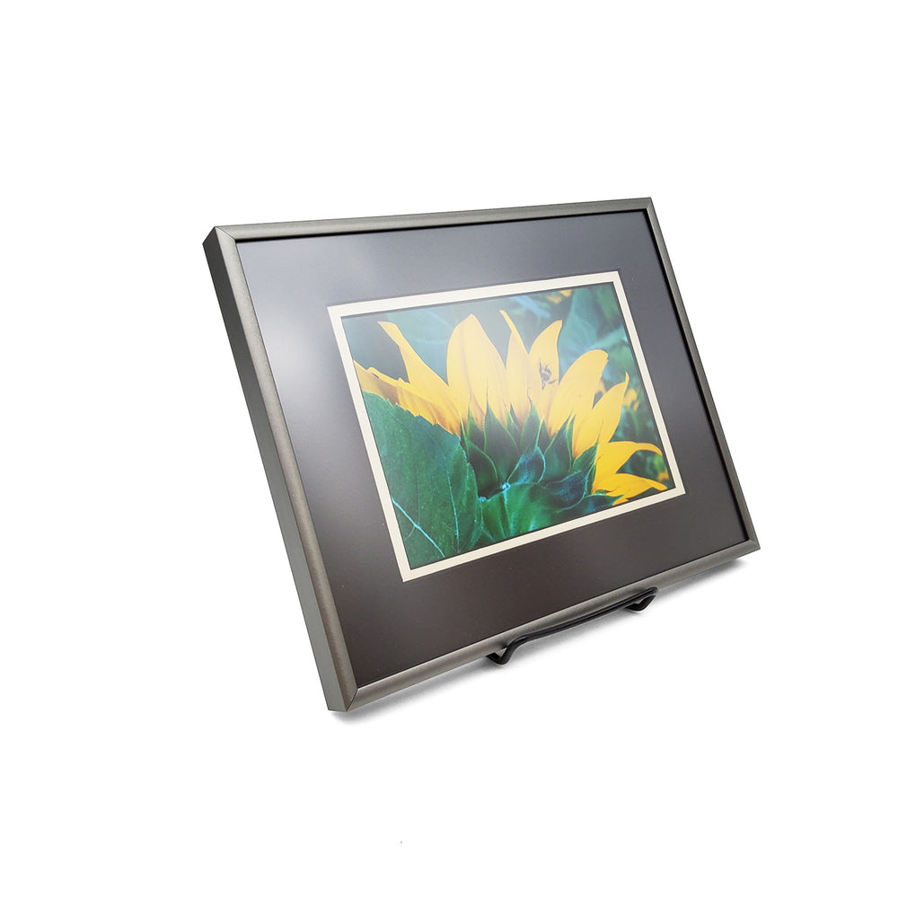 Framed Sunflower and Bumblebee Print