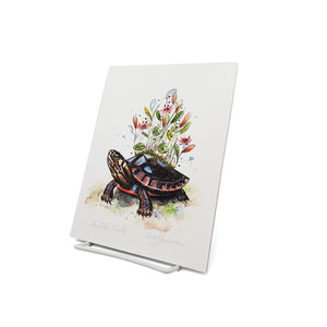 "Painted Turtle" Print