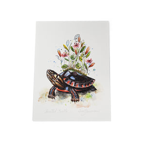 "Painted Turtle" Print