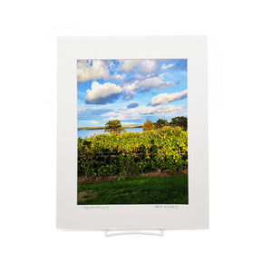 "Cayuga Lake Wine Country" Matted Print